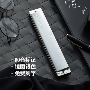 24孔口琴高级成人专业演奏级孔声复音口琴2410P