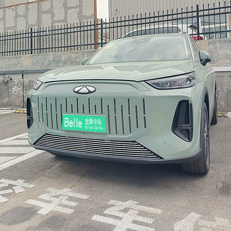 奇瑞风云T9防虫网前脸改装件外观金属中网装饰条水箱防絮亮条用品图片