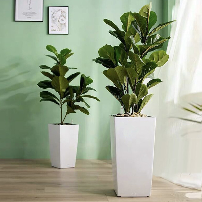 自吸水花盆客厅落地大号方形高筒塑料懒人特大北欧轻奢花盆虎皮兰,鲜花速递/花卉仿真/绿植园艺,花盆,淘宝优惠券,粉丝福利购,淘宝优惠卷