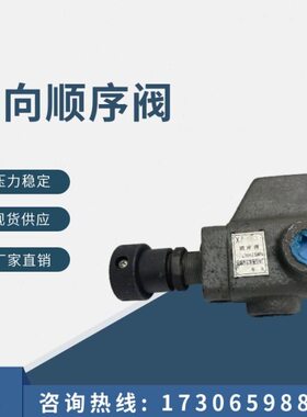 单向顺序阀X1-B10B XI-B25B XI-B63B XI-B10B XI-B25B XI-B63B