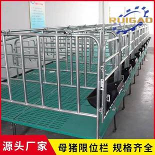 猪用限位栏母猪定位栏养殖设备加厚落地养殖场栏位山东生产厂家