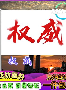 权威旗子定制权威大旗音乐节旅游旗帜武功山爬山登山定做手摇旗