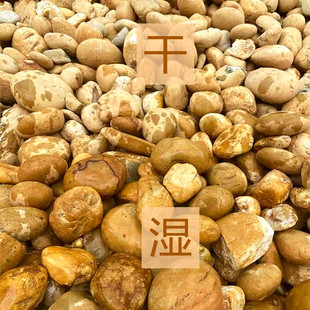 天然黄色鹅卵石园林铺路石黄蜡石水冲石黄硅石公园别墅园艺鱼池用