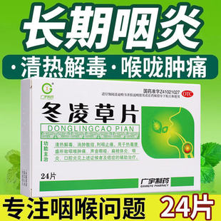 包邮】广宇冬凌草片24片/盒 清热利咽止痛声音嘶哑扁桃体炎口腔炎