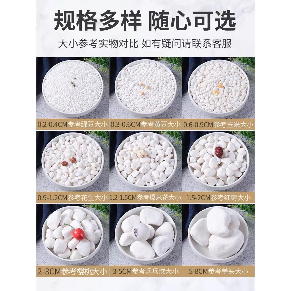 天然白色鹅卵石小白石庭院景观铺装干景观美化装饰鱼缸多肉铺装