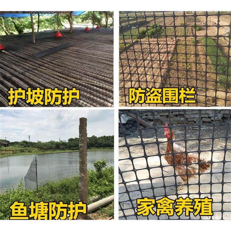 塑料围栏网养殖网加粗加厚养鸡鹅防护网格网菜园果园隔离圈玉米网