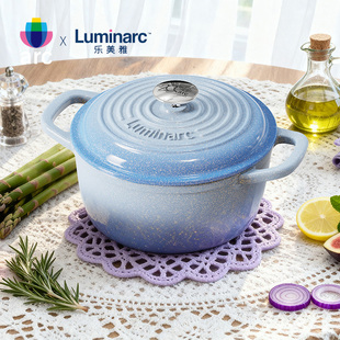 ARC乐美雅珐琅锅铸铁锅家用砂锅炖锅煮锅汤锅高颜值送礼礼物1.6L