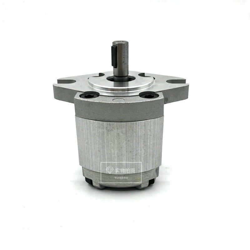 品质精品齿轮泵P101/P102/P104/P105/P106/P107/P108/P109 RP01GT,标准件/零部件/工业耗材,液压泵,淘宝优惠券,粉丝福利购,淘宝优惠卷