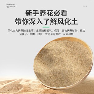 风化土盆景专用天然砂沙土颗粒扦插生根铺面石金弹子土营养土酸性