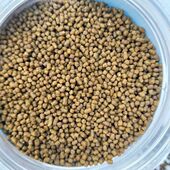 贵州李氏画眉鸟食饲料提性壮膘料唱鸟斗鸟料500g