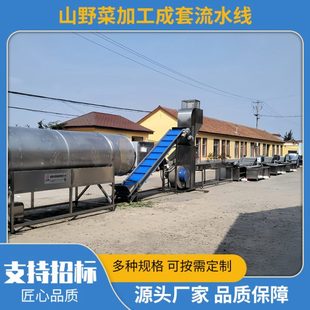 東北野菜清洗線加工設(shè)備 全自動柳蒿芽護色冷卻整套流水線機器