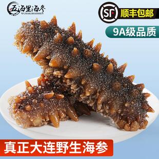 大连海参即食底播野生新鲜活辽参刺参非干货500g真空独立包装礼盒