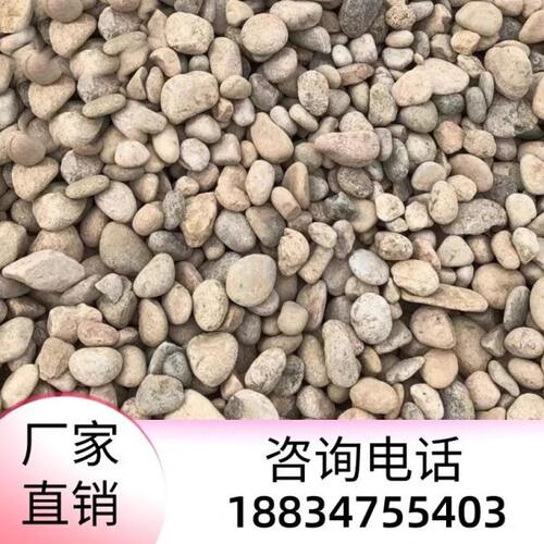 海南河卵石鹅卵石河滩石变压器变电站石头草坪景观石刻字庭院园林
