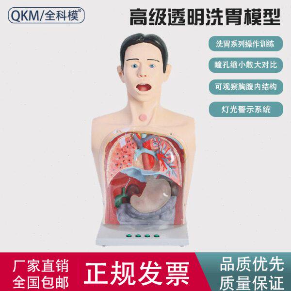 多功能透明洗胃训练模型带警示鼻胃管气管插管急救护理胃镜模拟人