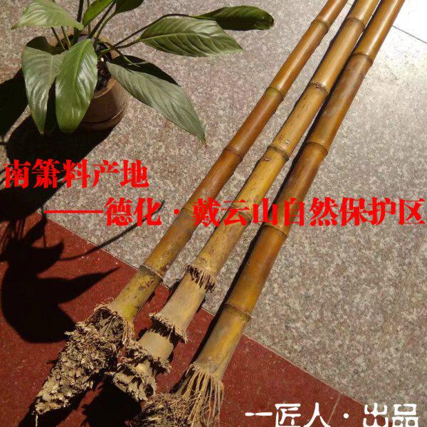 福建石竹台湾桂竹南箫料 干料 带根大头箫坯原材料 尺八料 洞箫料