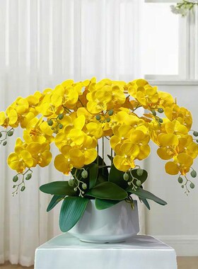 蝴蝶兰假花黄色仿真花高品质餐桌上E放的摆件客厅塑料花装饰花盆