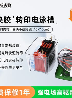 DYC-ZY4 4块胶小型转印(湿r转)电泳仪 转印槽 转膜电转电泳槽 转