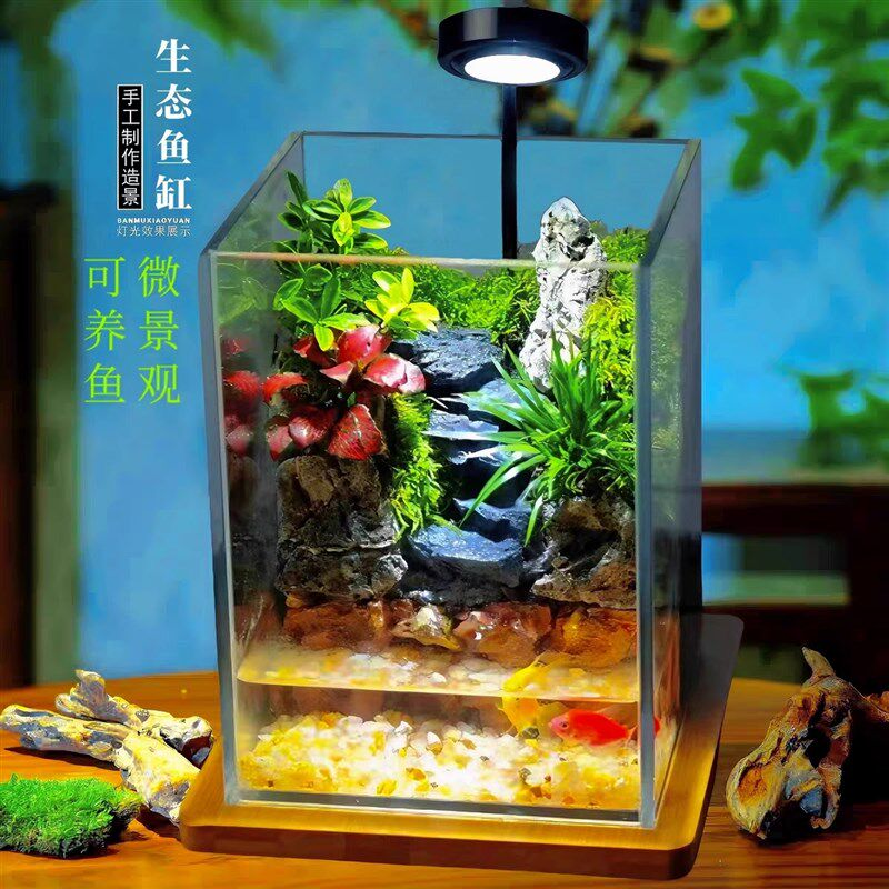 苔藓微景观生态j瓶雨林缸造景闷养桌面办公室植物盆景绿植养鱼缸