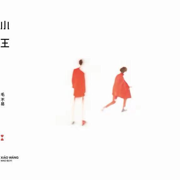 毛不易全新专辑《小王》CD音乐CD/DVD