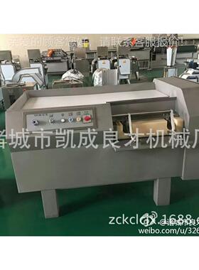 电动切丁机 商用功能型鲜肉多猪KGV自动切丁机切块肉机尺寸可定