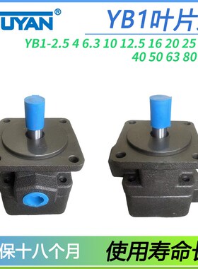 YB1-25液压4泵6.3叶片泵10 12 16 20 2.5 32 40 50 63 YB1-80 100