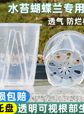 活性保持花盆观叶植物室内外塑料水培控根盆兰花水苔蝴蝶兰专用盆