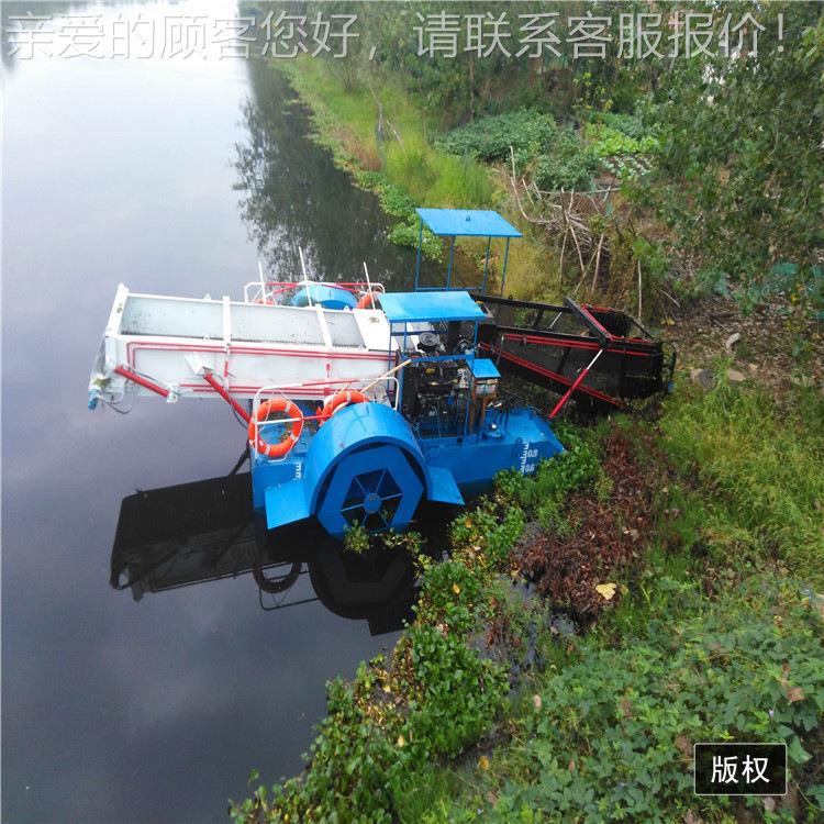 捞前收后卸式水浮动莲打捞船全0421自水葫芦打船景草区水浮莲收集