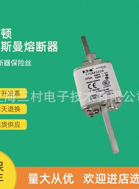 全新原装快速熔断器保险丝l170M3308 170M3309 170M3310 170M3311