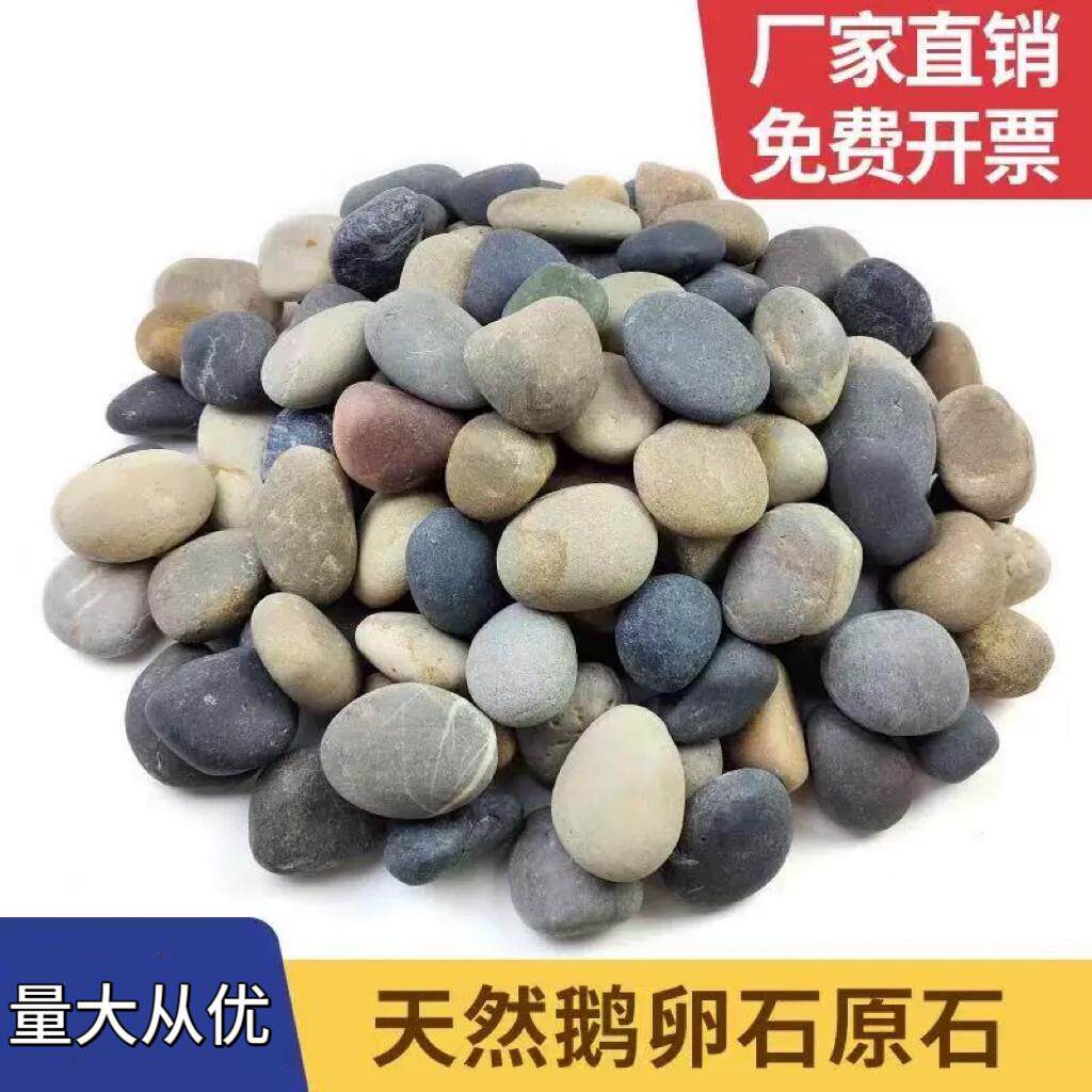 广东河卵石河滩石庭院园林天然石头造景大型鹅卵石溪流石河卵石