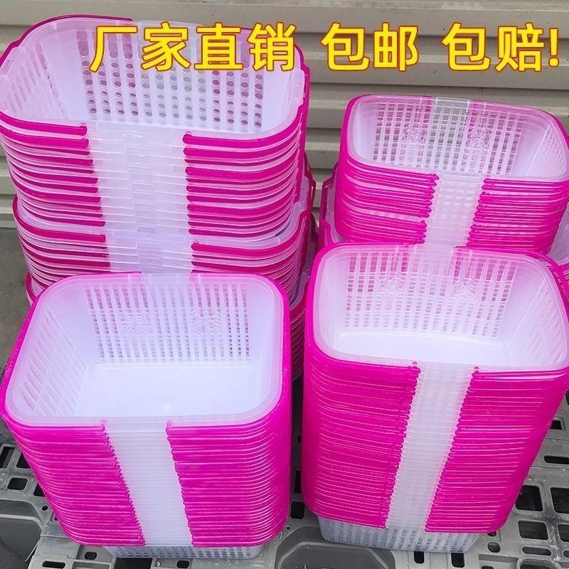 新料0.8斤-12斤草莓葡萄采摘篮杨梅塑料筐桃子枇杷采摘手提篮