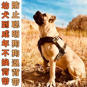 狗胸抱婴袋大型犬 猛犬比特训练狗套装胸背宠物背心式胸抱婴袋狗