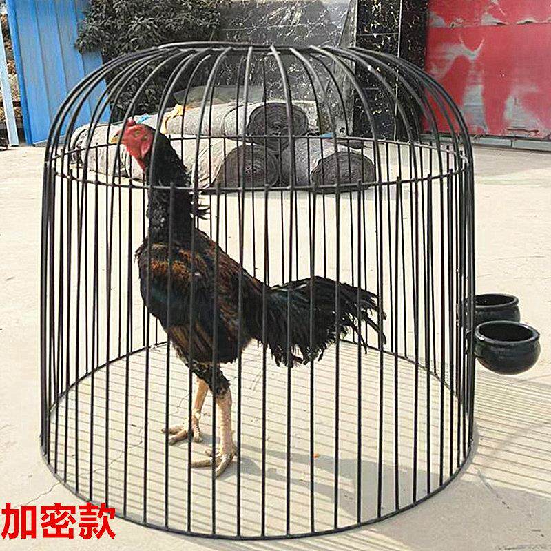 大号加密斗鸡罩笼新款圆笼子折叠笼子鸡笼子专用笼加厚养鸡笼铁笼