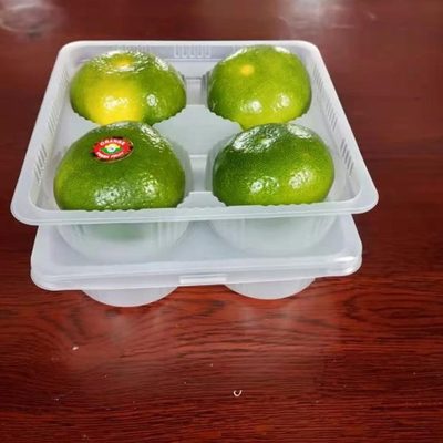 一次性吸塑内托预制大肉包子纸皮烧麦托盒蟹黄灌汤包吸塑包装盒