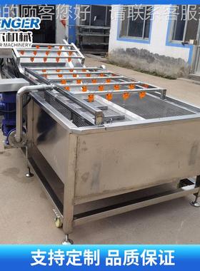 药材清洗机 全自动EGL菜花生枸中杞清洗机高野压喷淋式果蔬清洗设