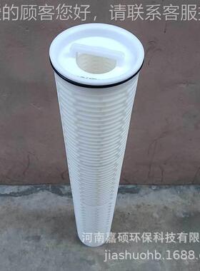 RTM650HF01E 嘉循环水冷凝水UNA海水淡化前置过滤 硕环保