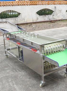 小型果蔬分选机 李大子橙子土百香果轨道分选分ST-ZGD29机豆选小