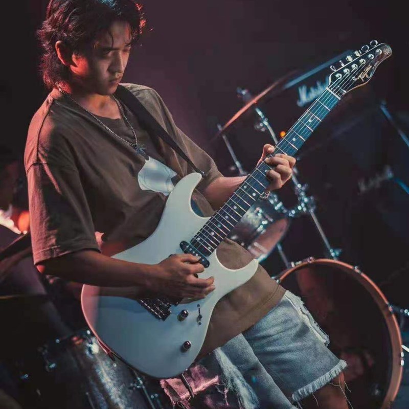 贾掌柜 塔吉玛 tagima TG510 24品单单双 新手入门 摇滚电吉他