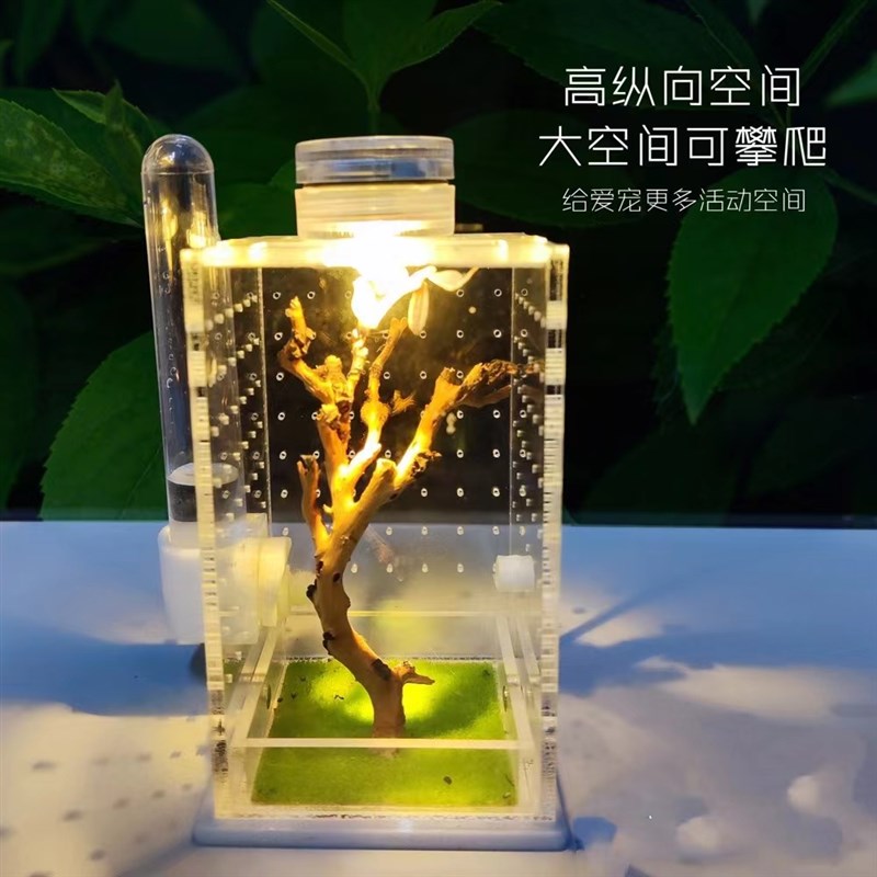 新款螳螂饲养盒跳蛛饲养盒蜘蛛昆虫亚克力蝈蝈笼子鸣虫盒子竹蛉盒