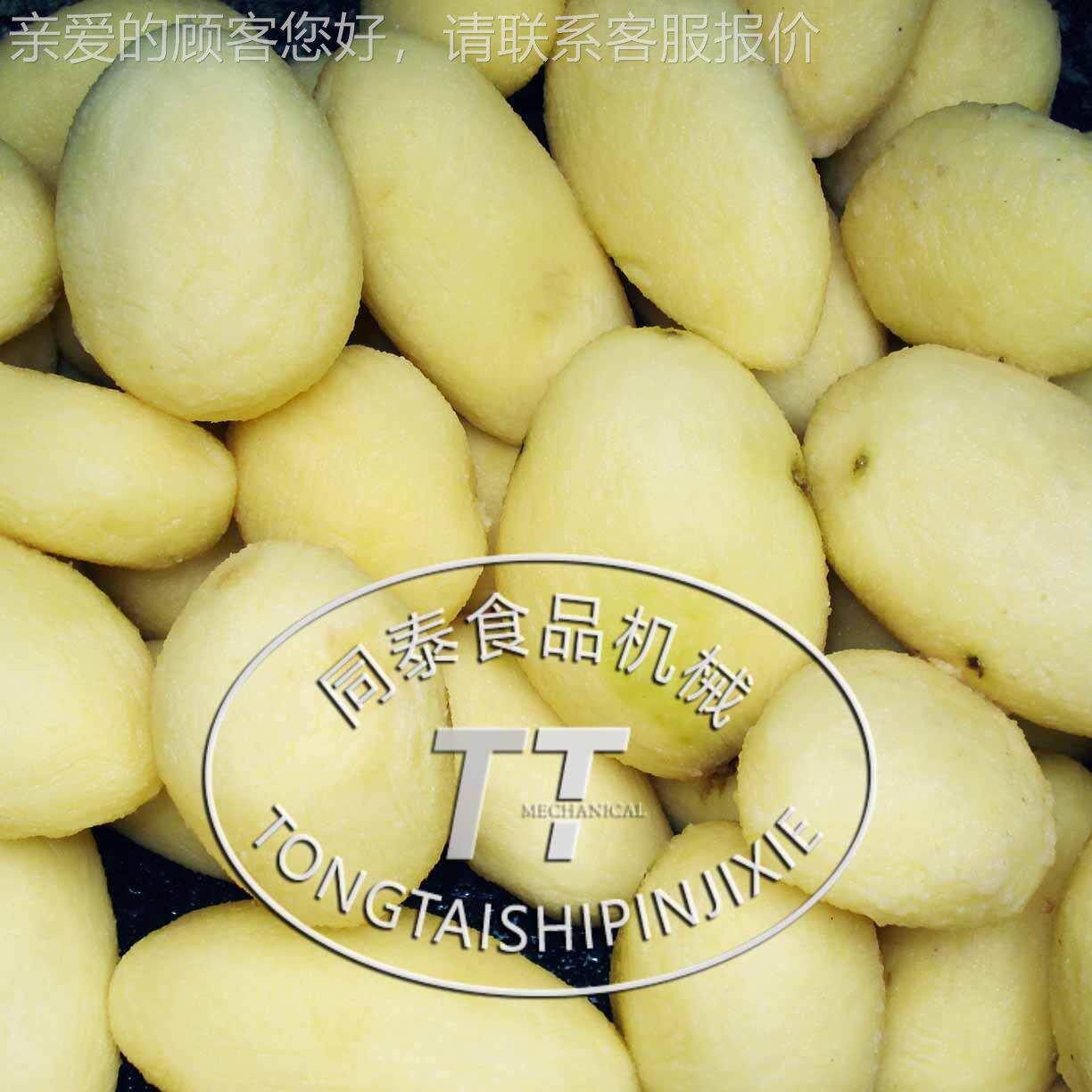 厂家直功AXA土豆脱皮销能机,芋头脱皮多机