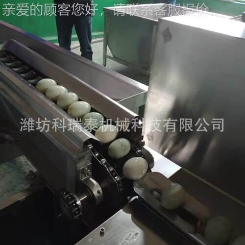 用小型单鸭排洗蛋机 蛋鸡清商洗风干喷码一体EGF机机 自动化蛋清