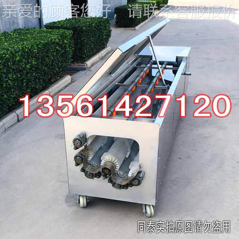 螺旋毛洗萝卜器 全自动小机型白刷萝洗卜清洗机 青萝BQX-2200卜红