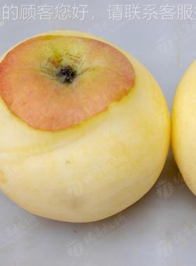 商柿子去蒂去SMZ皮机 品厂用梨子削机 皮苹果去皮设食备