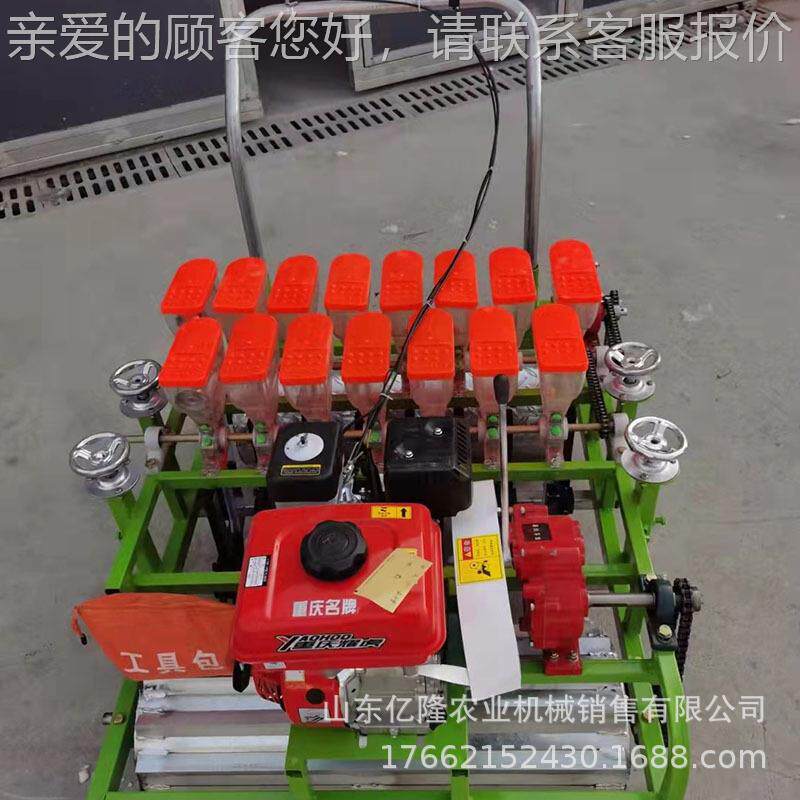 内yl-bzj蒙西菜洋参播古种机 茼蒿生菜点播 药材叶类精机播机