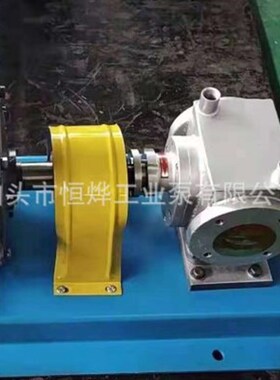 LQB不锈钢保温齿轮泵 高温齿轮油泵  保温齿轮泵304材质不锈钢泵