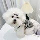 春秋新款 宠物狗狗可牵引衣服泰迪比熊中小型犬舒适棉条纹背心