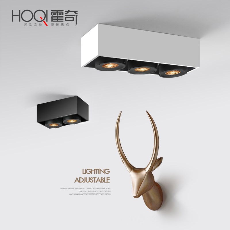 换光源led明装筒灯双头斗胆灯天花射灯长方形盒仔灯无主灯免开孔