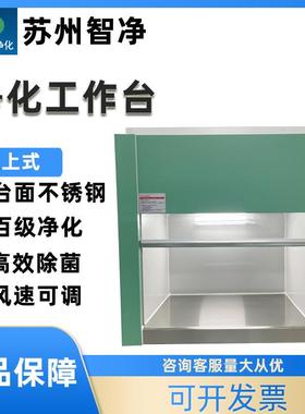 苏州VD-650/850型桌上式超净工作台垂直送风净化工作台
