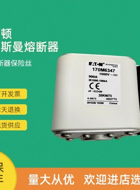 全新快速熔断器保险170M6343 170M6344 17L0M6345 170M6346