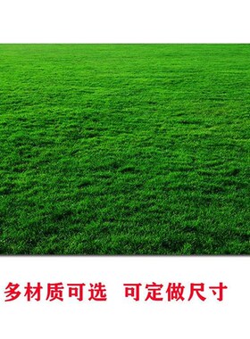 草地草坪贴画绿色护眼壁纸自粘贴画宿G舍海报定做辽阔草原风景挂