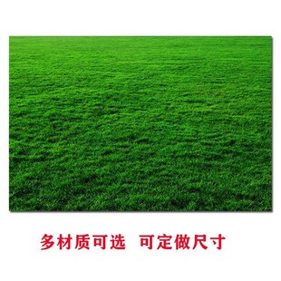 草地草坪贴画绿色护眼壁纸自粘贴画宿G舍海报定做辽阔草原风景挂